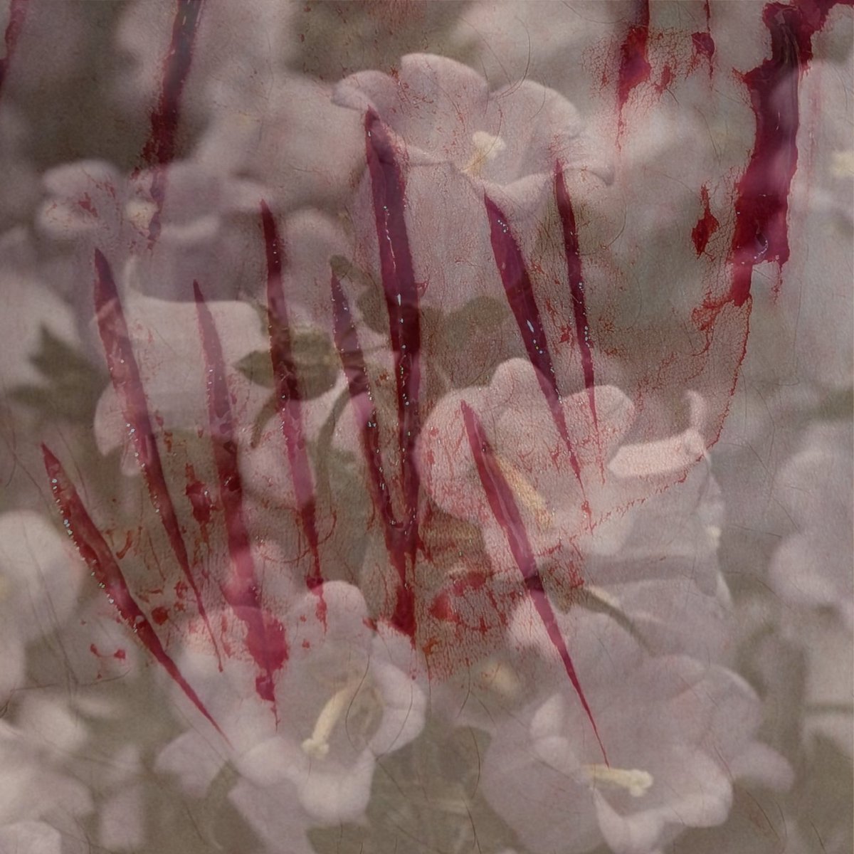 f4wnth1ng's tweet photo. wow look at these flowers... woaa... tw or something... https://t.co/7U45K1KKvI