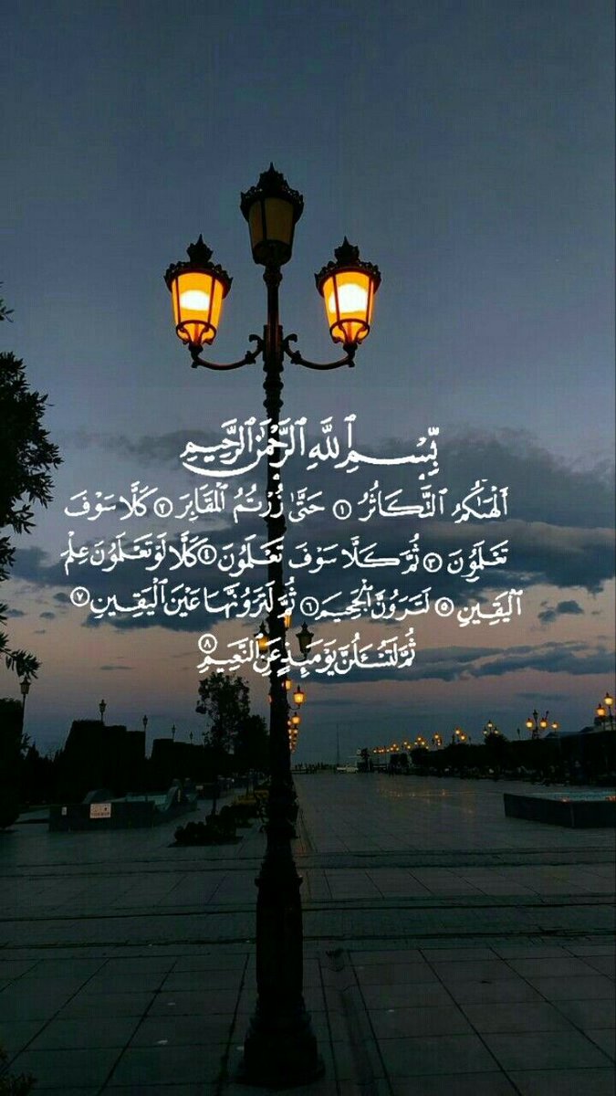 trdvhg3's tweet photo. https://t.co/V1mkEmMuwv