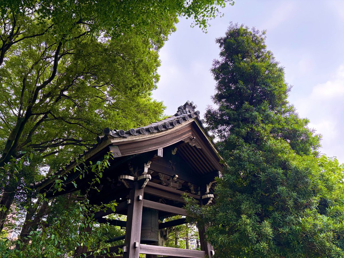 283GOSHUIN's tweet photo. #新宿区 #臨済宗 #妙心寺派 #済松寺 #御朱印
東京都新宿区にあります臨済宗妙心寺派の済松寺さんです🙏
当寺は、徳川家光に仕えていた祖心尼のために、家光自らが牛込の大橋龍慶屋敷跡に土地を与え、寺を築いたのが始まりです。
家光は、臨済宗の宗祖である臨済禅師の済と松平家の松の字をとって済松寺と名づけ、自身が死んでも心は済松寺にあると言ったほど、篤く信仰しました。
済松寺は七堂伽藍を備え、牛込でも大寺院でありました🙇‍♂️🙇‍♂️