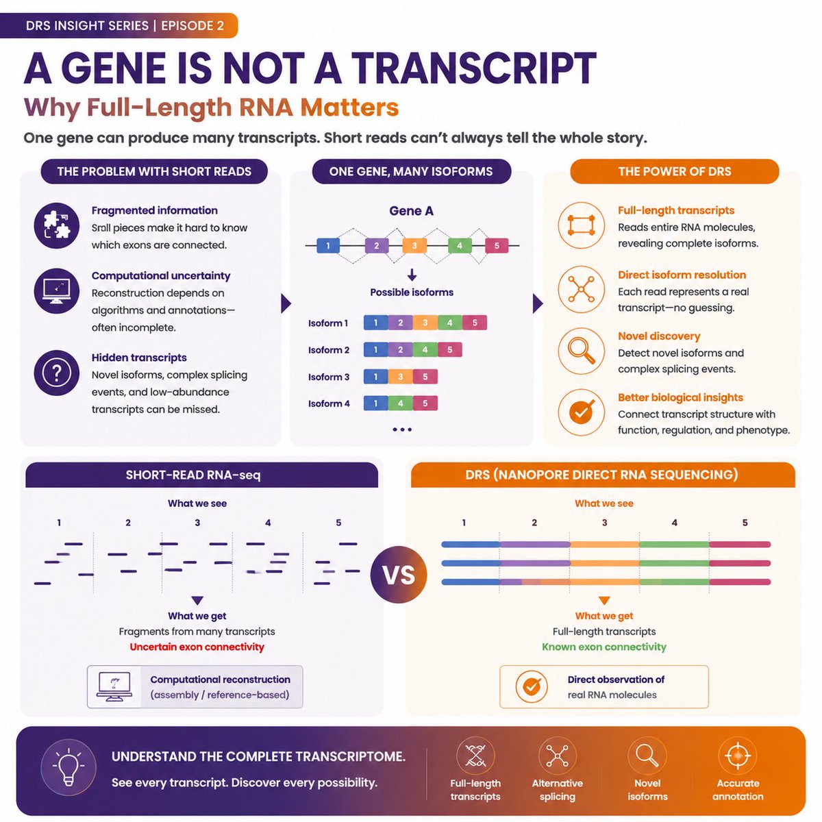 sailgene's tweet photo. One gene. Multiple transcripts. Hidden complexity.
Short-read RNA-seq often struggles to resolve complete isoforms. Direct RNA Sequencing captures full-length RNA molecules, enabling a clearer view of transcript diversity and alternative splicing.
#Nanopore #LongReads https://t.co/3ZrTGfOS16