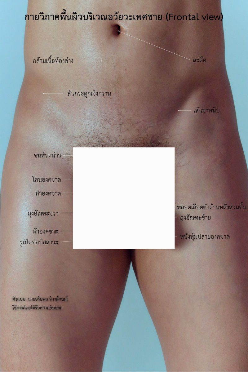 planetworldz's tweet photo. ANATOMY: Close-Up Shot
https://t.co/BgEQK0r82Y https://t.co/BdTr0pAI9w