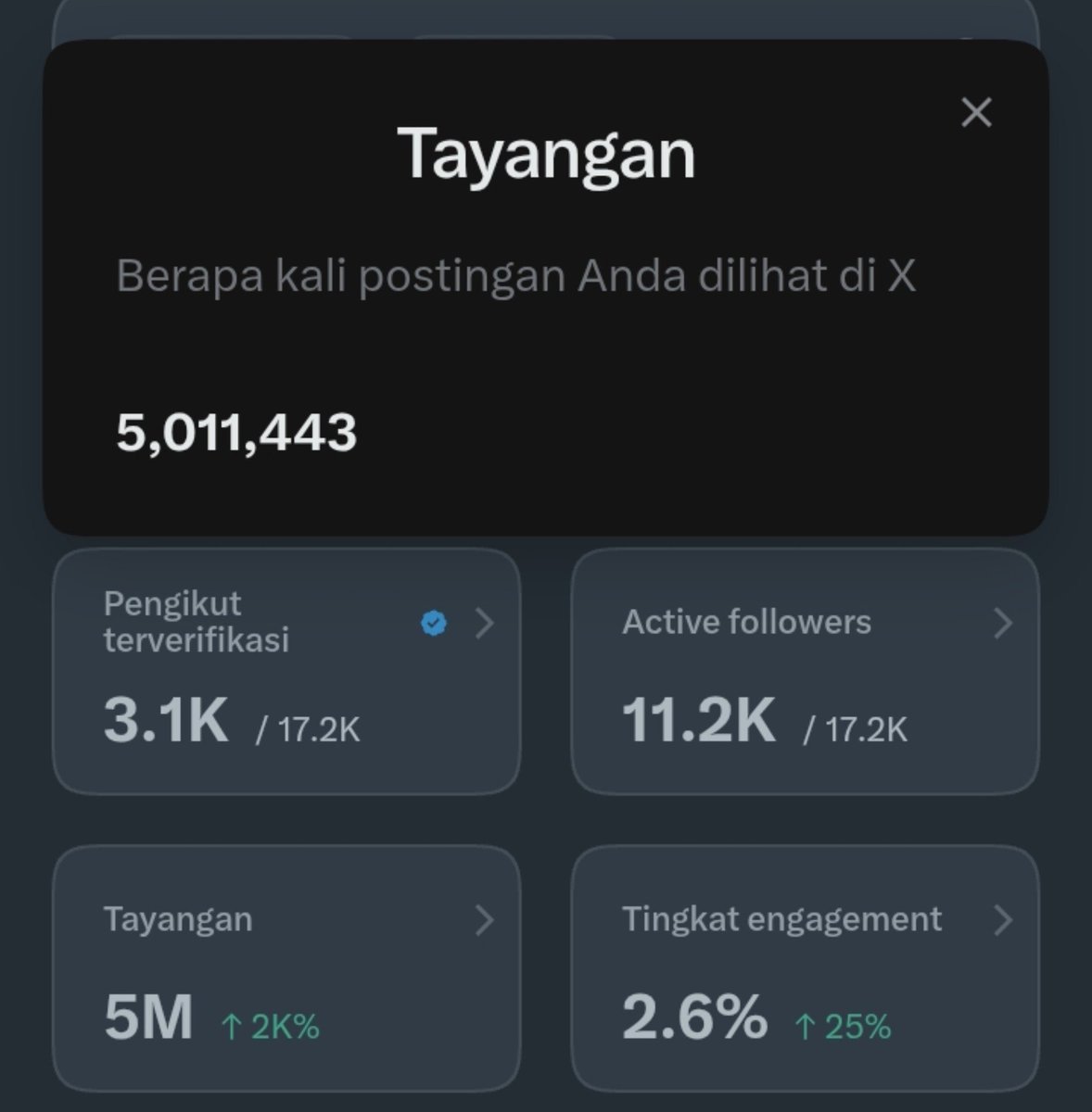 haulbyy tweet media