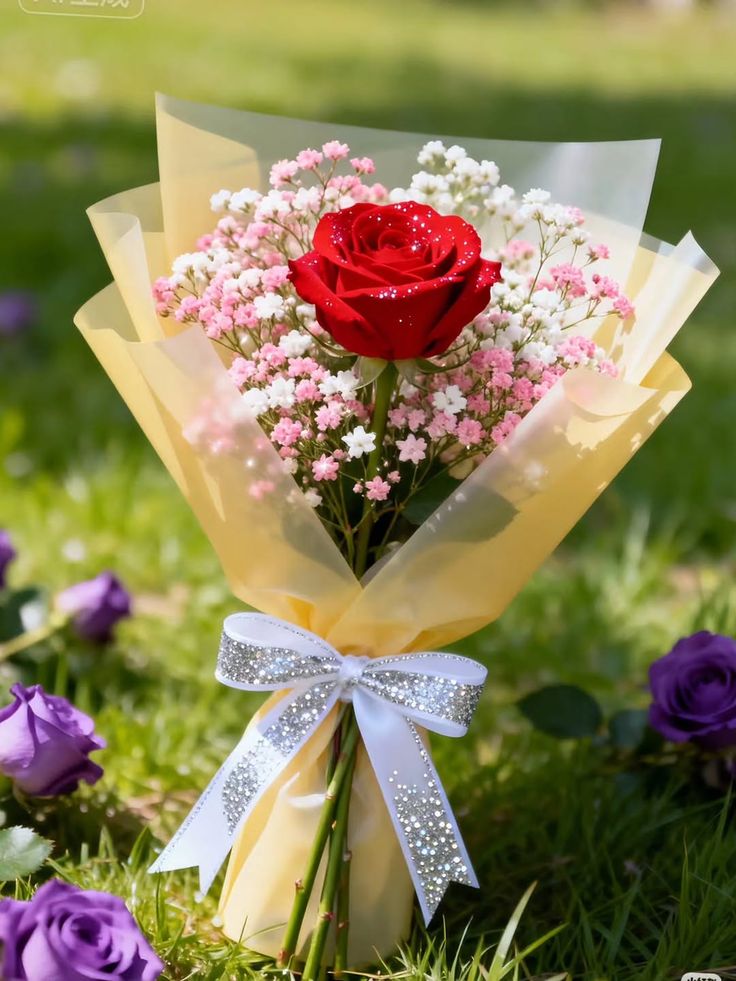 Flowerslove45's tweet photo. https://t.co/ad25AJzuwE