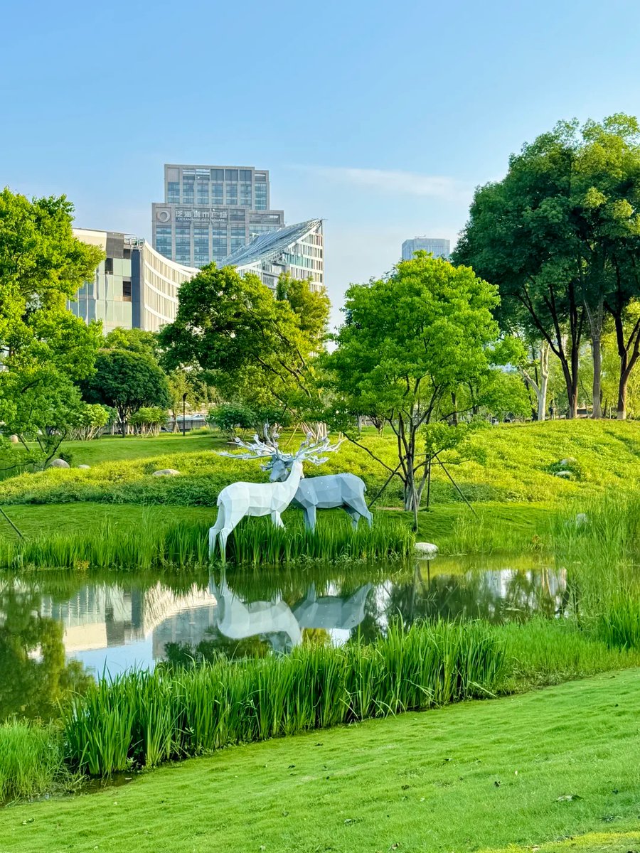 visit_wuhan's tweet photo. 🌄Summer floods Wuhan's parks with unstoppable green — every corner bursting with life. 🌊
#Wuhan #SummerParks #LushGreen #LotusSeason #UrbanJungle https://t.co/X4YhUvpXIW