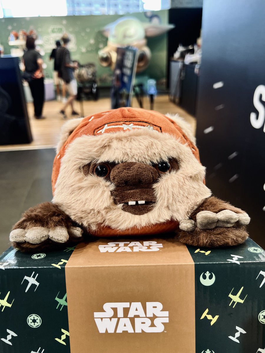 MaskedRyuki's tweet photo. ソラマチのスターウォーズポップアップストア終了前に滑り込み。一回諦めて後悔したウィケットのでかぬいお迎え〜 https://t.co/AqkeqeBapB