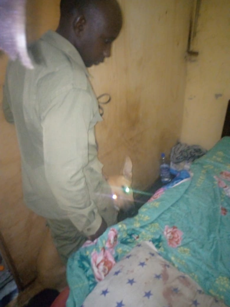 PoliceUg's tweet photo. Police at Nsangi have arrested 11 suspects in connection with an aggravated robbery and rape that occurred at Nakirama Cell, Kyengera Town Council, Wakiso District

With the aid of Police sniffer dog, officers tracked a suspect's scent from the crime scene to a nearby bar, leading to the arrest of 11 suspects in connection with an aggravated robbery and rape.
Investigations are ongoing to identify the principal offender. 
See more 
https://t.co/ytvsuUdmhj
