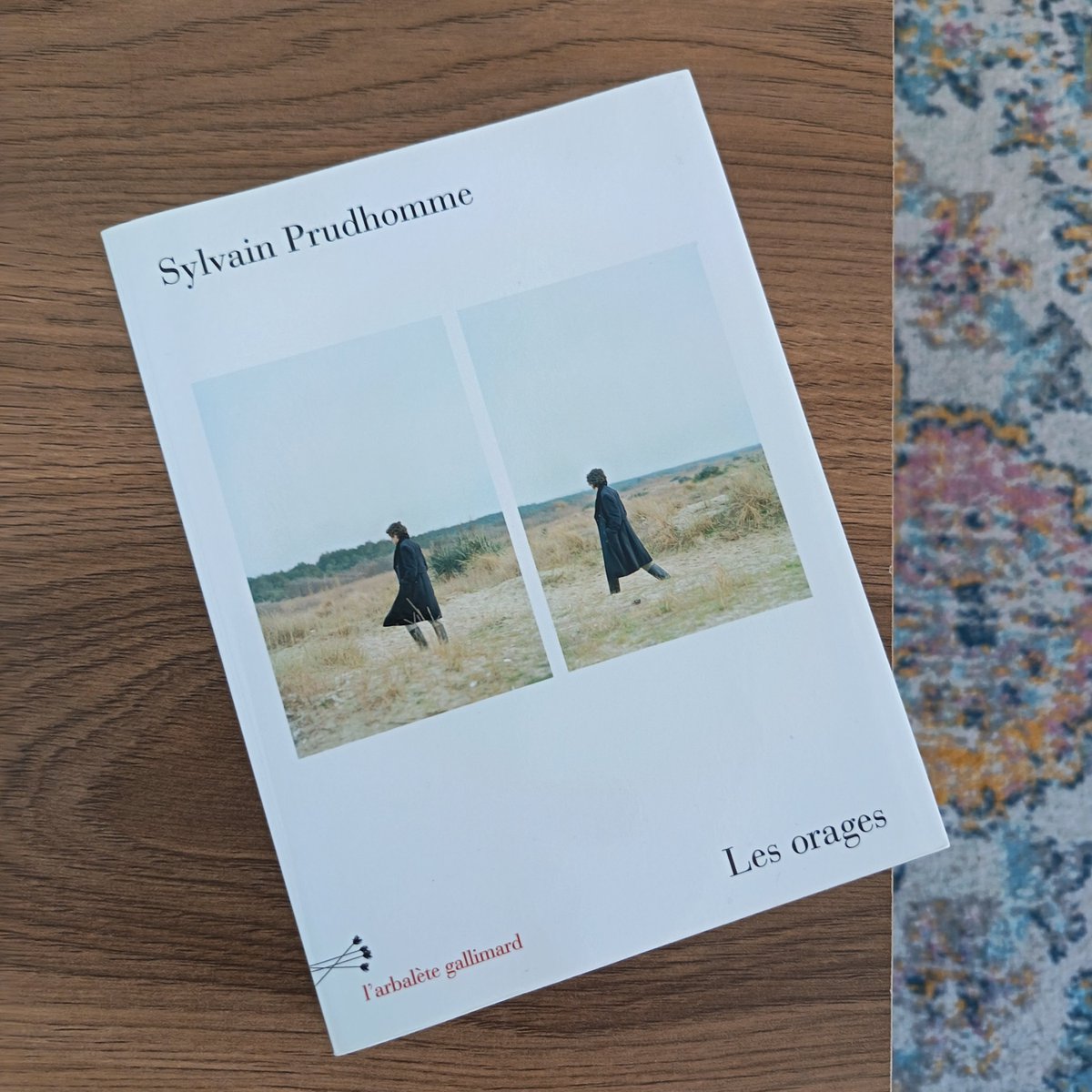 CCharuel's tweet photo. ✨ Je commence "Les orages" de Sylvain Prudhomme ☕

#sylvainprudhomme #recueil #nouvelles #lecture https://t.co/F9AZzu53WO