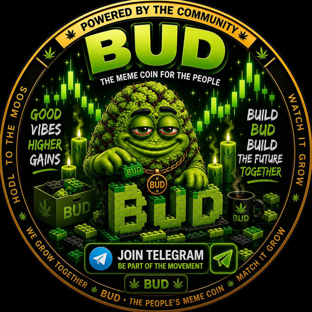 Budmemecoin's tweet photo. @bnb_girl1 https://t.co/OCvjQBHFjk