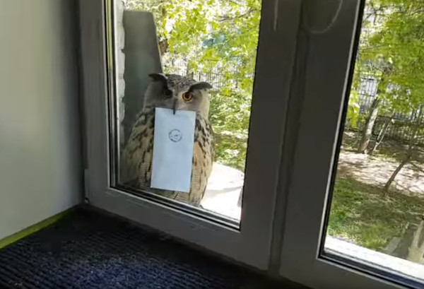 AlexanderEk9izt's tweet photo. Yesterday we baked chocolate cookies and left them on the porch for neighbors! Smiles all around – community warmth hits different.， https://t.co/4uZMUfOud3