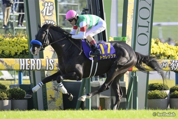 keibalab's tweet photo. 【スーパーG3】
新潟記念(8月30日)、現時点で参戦を予定しているG1馬
アーバンシック
ステレンボッシュ
チェルヴィニア
ドゥレッツァ
ロデオドライブ
#ドゥレッツァ #新潟記念
https://t.co/1Tv75KR7ZJ https://t.co/z5teNOwxV0