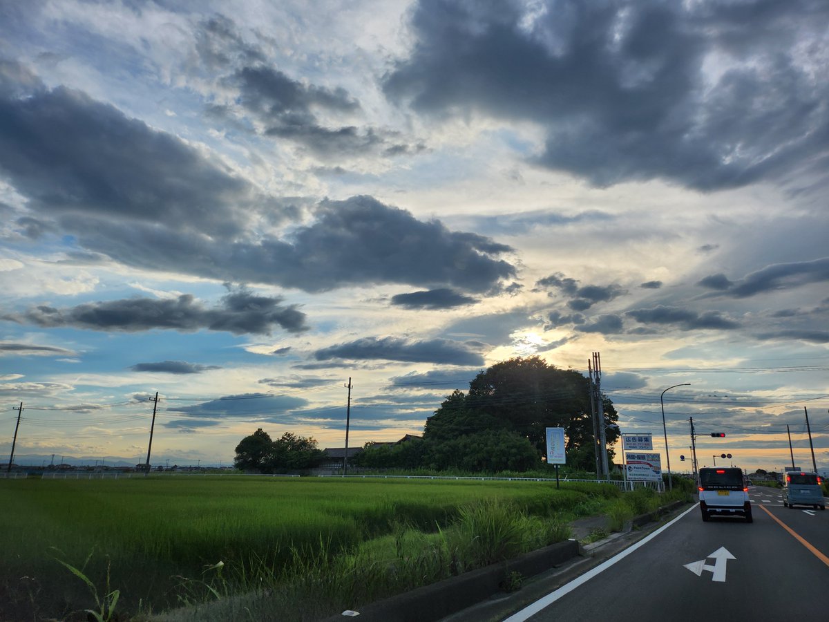 magushima tweet picture