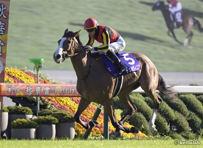 keibalab's tweet photo. 【スーパーG3】
新潟記念(8月30日)、現時点で参戦を予定しているG1馬
アーバンシック
ステレンボッシュ
チェルヴィニア
ドゥレッツァ
ロデオドライブ
#ドゥレッツァ #新潟記念
https://t.co/1Tv75KR7ZJ https://t.co/z5teNOwxV0