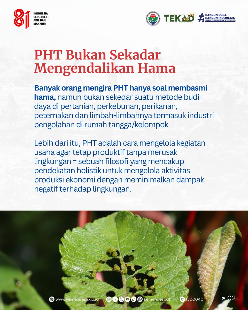 kemendespdt's tweet photo. Melalui Program TEKAD, pendekatan Pengelolaan Hama dan Limbah Terpadu (PHT) menjadi bagian penting dalam penerapan SECAP. https://t.co/EfLHm8DHBl