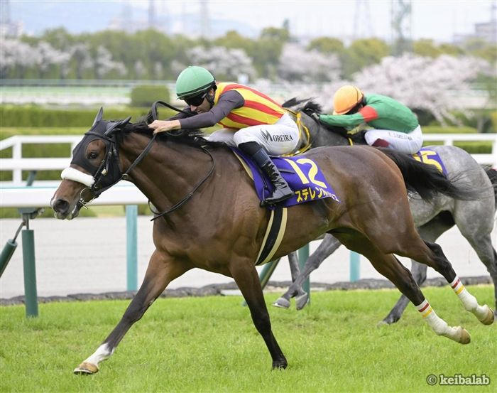 keibalab's tweet photo. 【スーパーG3】
新潟記念(8月30日)、現時点で参戦を予定しているG1馬
アーバンシック
ステレンボッシュ
チェルヴィニア
ドゥレッツァ
ロデオドライブ
#ドゥレッツァ #新潟記念
https://t.co/1Tv75KR7ZJ https://t.co/z5teNOwxV0