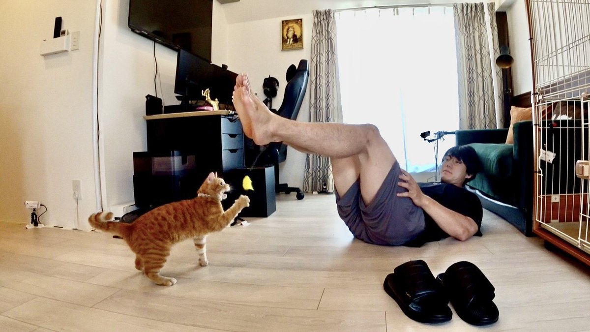 minnano_zoo_ntv's tweet photo. 本日7/31(金)は
かけおち 青木マッチョ さんのお誕生日✨️💪

マッチョさん
お誕生日おめでとうございます🎂💐

共同生活中の「大(まさる)」も
マッチョさんの優しさにメロメロです💕

良い1年をお過ごしください☺️
#嗚呼みんなの動物園 
#HappyBirthday https://t.co/OBHUnyWrd8