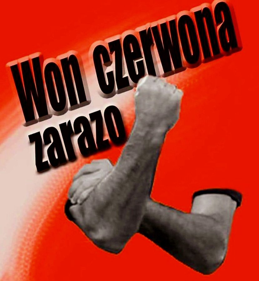 barczyk1's tweet photo. Zboczency Tuska z Kłodzka i Dupiarza z Warszawy złapali drugi oddech i w ciszy mogą dalej prowadzić proceder dla pedofilii i zoofilii.Jest nadzieja ze referendum w W-wie okaże się plebiscytem za pozostawieniem miasta w rekach zboczencow Dupiarza czy wygrają rodowici Warszawiacy. https://t.co/nSlDWkZ3L1
