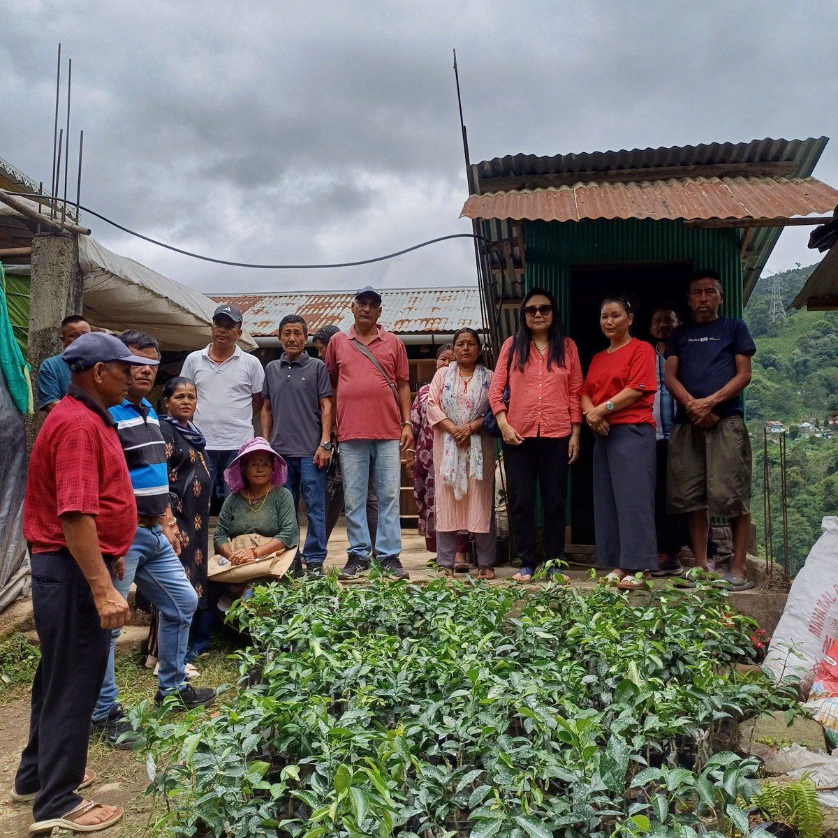 dws_darjeeling's tweet photo. Guided by the vision of Shri @harshvshringla, another milestone in reviving Darjeeling's GI-tagged Mandarin Orange. At Mangarjung, 2,000 Mandarin Orange and 3,000 Rampur Lime rootstocks were distributed, paving the way for stronger livelihoods for our hill farmers. https://t.co/fHkRkNByYi