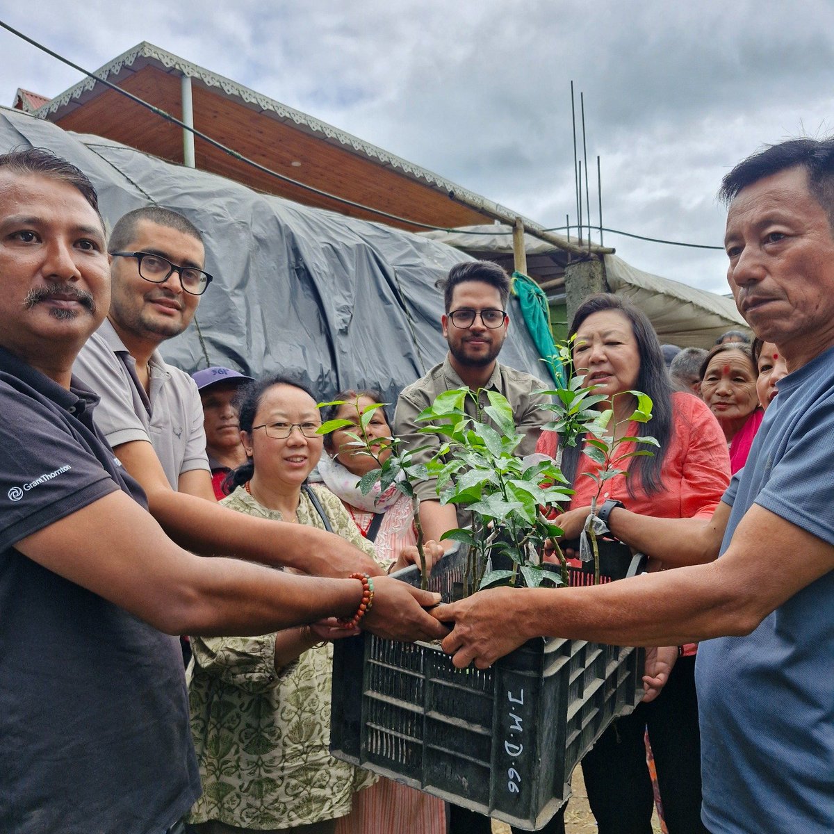 dws_darjeeling's tweet photo. Guided by the vision of Shri @harshvshringla, another milestone in reviving Darjeeling's GI-tagged Mandarin Orange. At Mangarjung, 2,000 Mandarin Orange and 3,000 Rampur Lime rootstocks were distributed, paving the way for stronger livelihoods for our hill farmers. https://t.co/fHkRkNByYi