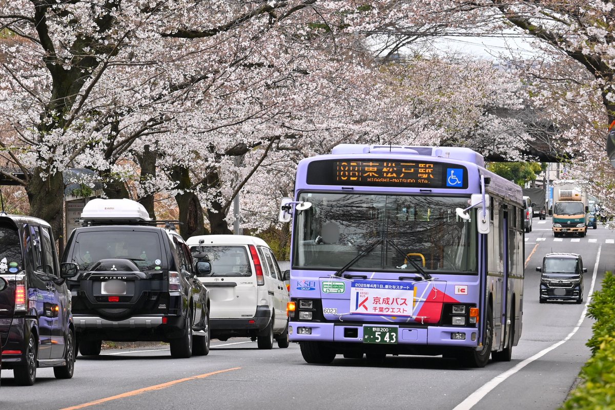 mkpsub's tweet photo. 京成バス千葉ウエスト 松戸東営業所
6023号車(PKG-LV234N2)
松戸東最古参の同車が除籍となったようです。LV234は残り4台となりました。 https://t.co/ZJYIHeYvYU