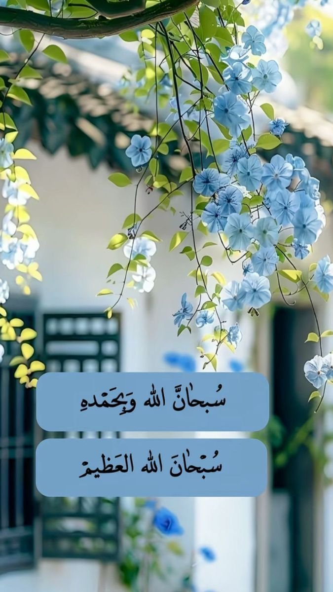 Shahidkhan79978's tweet photo. 🌹 السلام علیکم ورحمۃ اللہ وبرکاتہ 🌹

زندگی میں کامیابی صرف منزل حاصل کرنے کا نام نہیں، بلکہ ہر حال میں صبر، شکر اور اچھے کردار کے ساتھ آگے بڑھنے کا نام ہے۔

اللہ تعالیٰ آپ کے ہر دن کو خیر، رحمت، سکون اور کامیابی سے بھر دے۔ آمین۔ 🤲✨ https://t.co/xpX8u19gvz