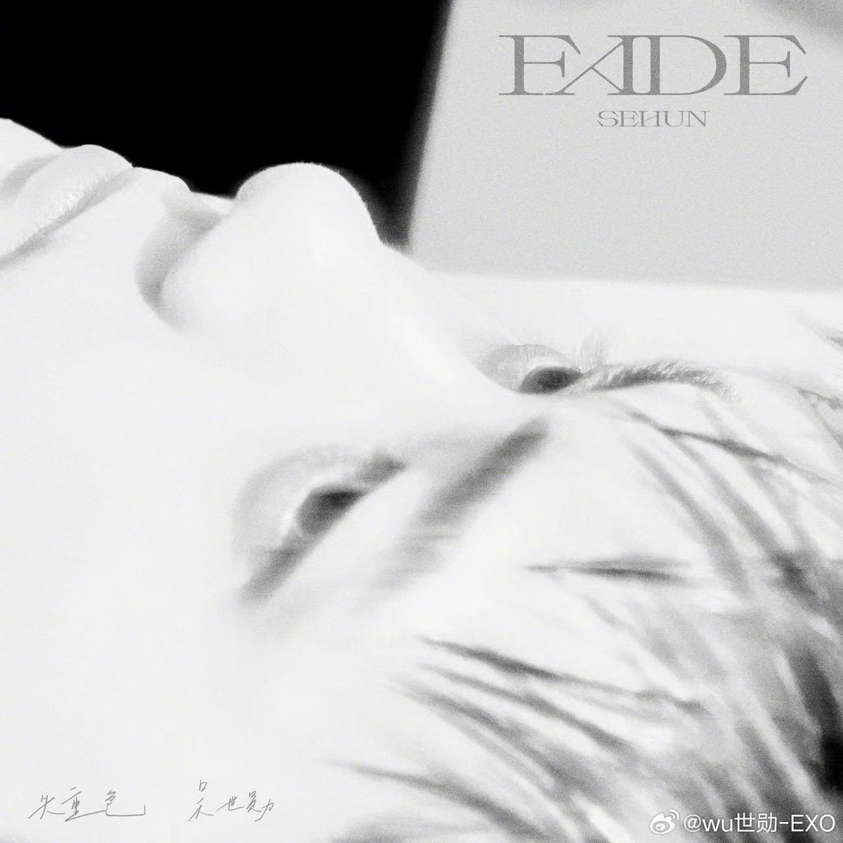 OhSehunGlobal's tweet photo. SEHUN 'FADE' (feat. SION) Chart Debut Summary 📊

Here are the initial chart debuts for SEHUN’s Chinese single "FADE (feat. SION)" across platforms:

🔴 Bugs Real time (4 PM KST)
#1 Bugs Real time [NEW] 👑

🟢 MelOn Charts
#19 Latest Release (1 Week) 
#27 MelOn Hot100 (30 Day)
#41 Latest Release (4 Weeks)
#63 MelOn Hot100

🟡 QQ Music × Weibo Trend Chart (15:00 CST)
#2 Peak Trend Chart (巅峰潮流榜) 📈

WELCOME TO THE FADE ERA
#SEHUN_FADE #SEHUN #세훈