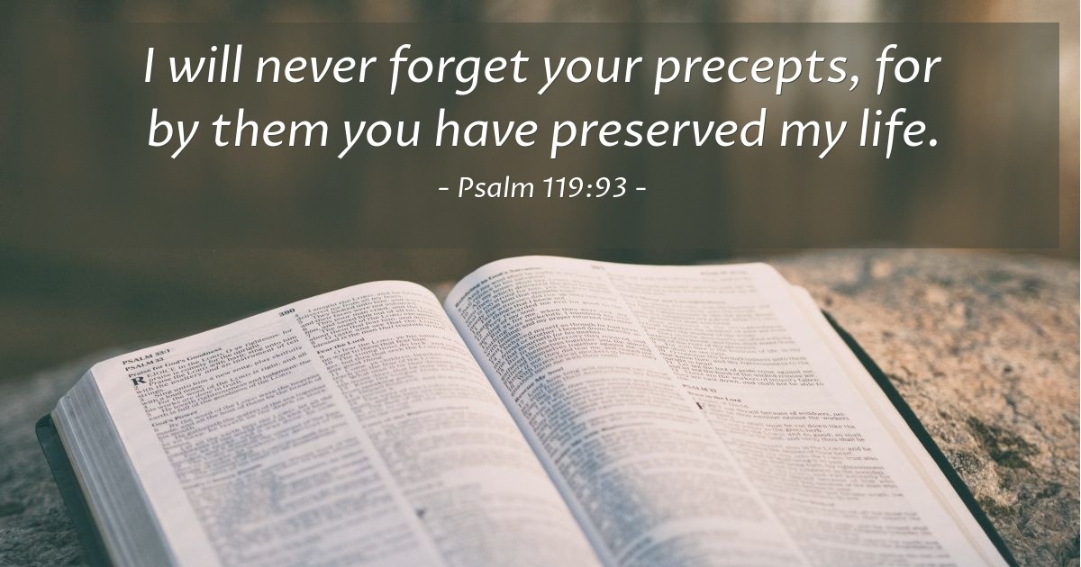 VerseOfTheDay's tweet photo. Verse of the Day - Psalm 119:93 https://t.co/wrHpl1xaWn https://t.co/LOj1LKnxJ0