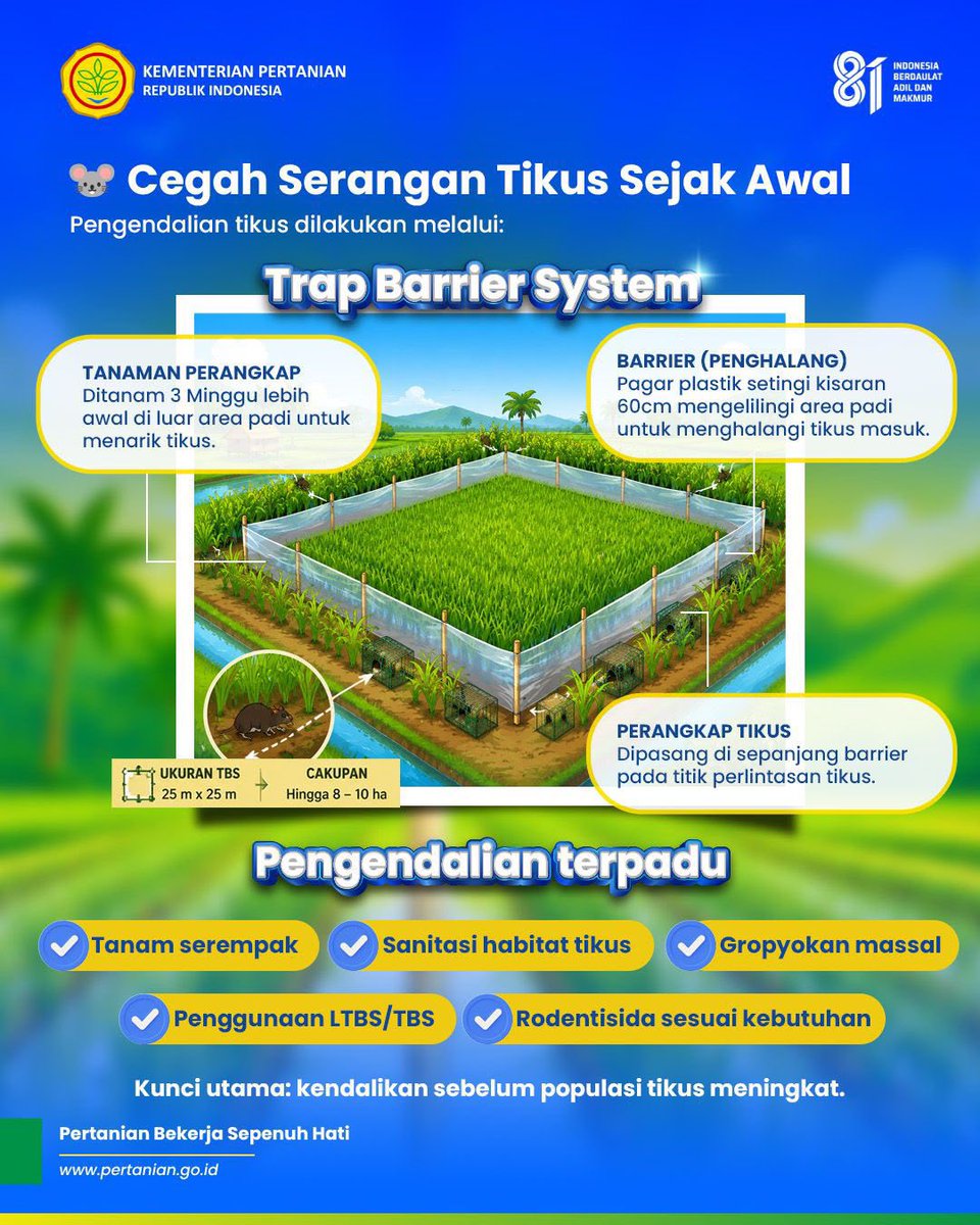 kementan's tweet photo. dan ketahanan pangan nasional semakin kuat menuju Indonesia yang berdaulat, adil, dan makmur.
#HUT81KemerdekaanRI #PMAAS #PertanianModern #KetahananPangan #PertanianIndonesia https://t.co/1Po15BQTKr
