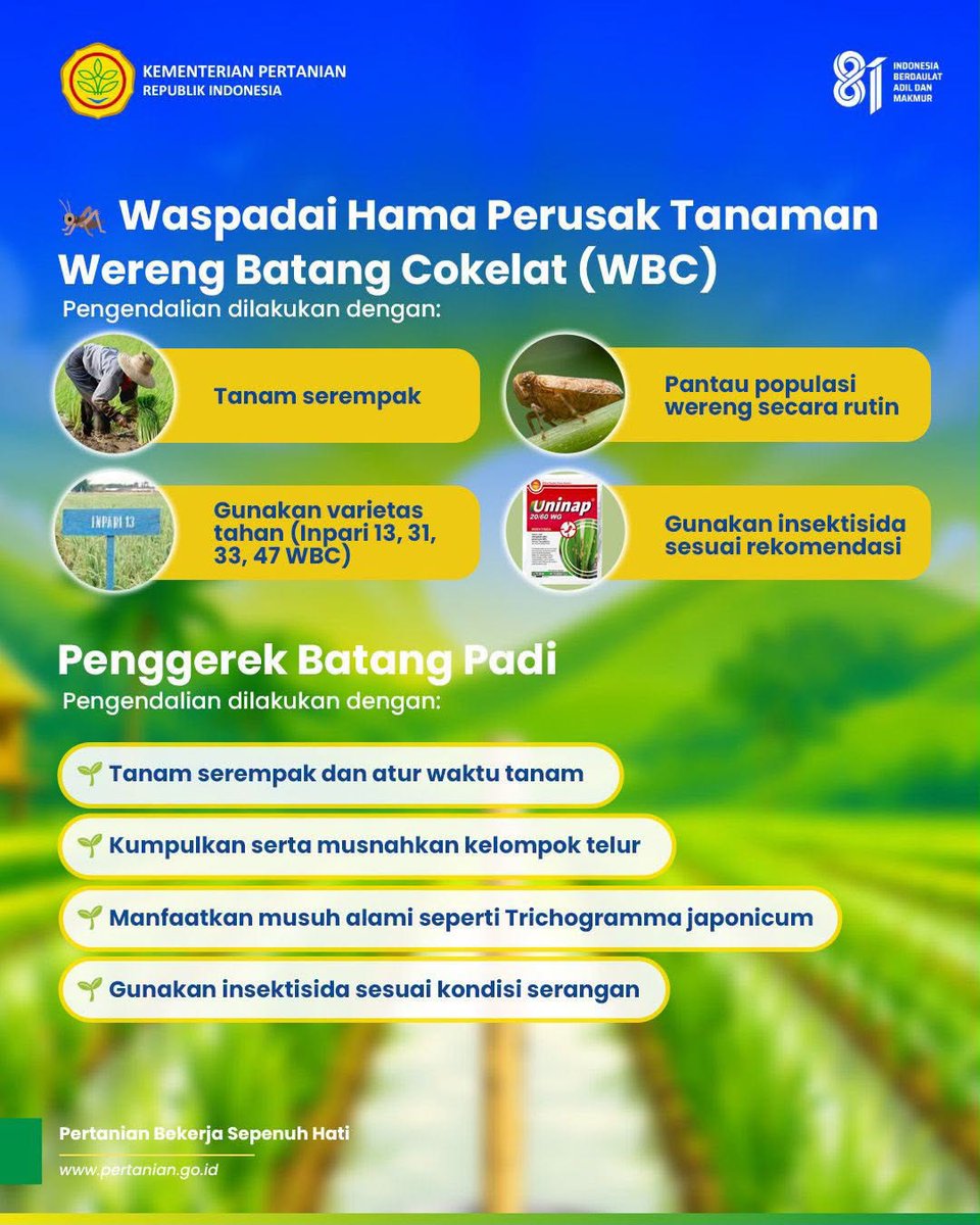 psekp_kementan's tweet photo. Pengendalian hama dan penyakit sejak awal pertanaman menjadi salah satu kunci keberhasilan budidaya padi. Melalui Pertanian Modern Advanced Agricultural System (PM-AAS), petani didorong melakukan monitoring rutin, menerapkan PHT, serta memanfaatkan teknologi pertanian modern. https://t.co/F5DZexi6kC