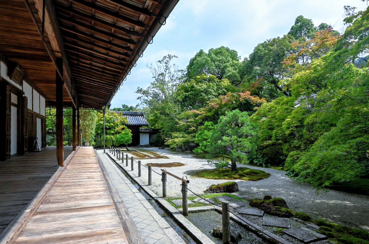 _mint1996's tweet photo. 京都の夏🎐
　〜南禅寺塔頭　天授庵

枯山水と池泉回遊式の2つの庭園を楽しめます

池に映り込む涼しげな景色が暑さを和らげてくれます 🍃𓂃 𓈒𓏸 

＃ファインダー越しの私の世界 https://t.co/4Fb1qNeznX