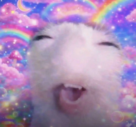 tiramisuvampy's tweet photo. hiii still looking for more girl #moots .✦ ݁˖

Vampy • 25 • Capricorn 

Likes: alt fashion/makeup, music, art/poetry/oddities, animals, witchcraft, spooky stuff 

18+ MDNI 

♡ / ↻ 2 be mutuals ❤︎

#moothunt #moothunting #girlytwt #diarytwt #musictwt #bpdtwt #girlblog https://t.co/0GDVBSDBfB