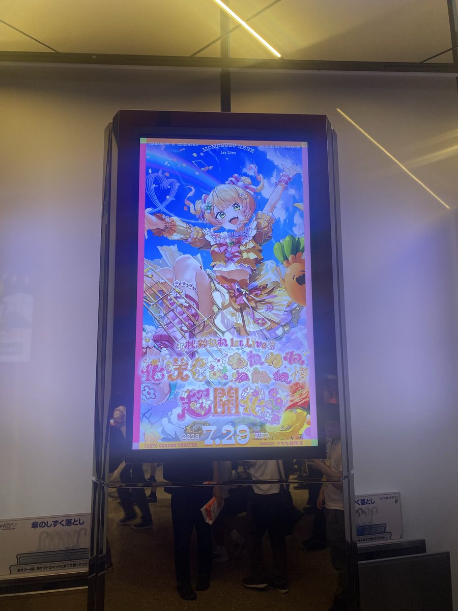 sakuma681's tweet photo. ねね https://t.co/e0LooSOySH