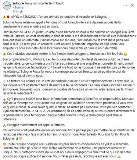 labmo38's tweet photo. APPEL A TEMOIN
#Alerte #Info #drame #choque #sologne #chat #victime #violence #torture #animale #barbarie #APPEL #temoin #enquete #gendarmerie #aide https://t.co/yfbH5XeDDx