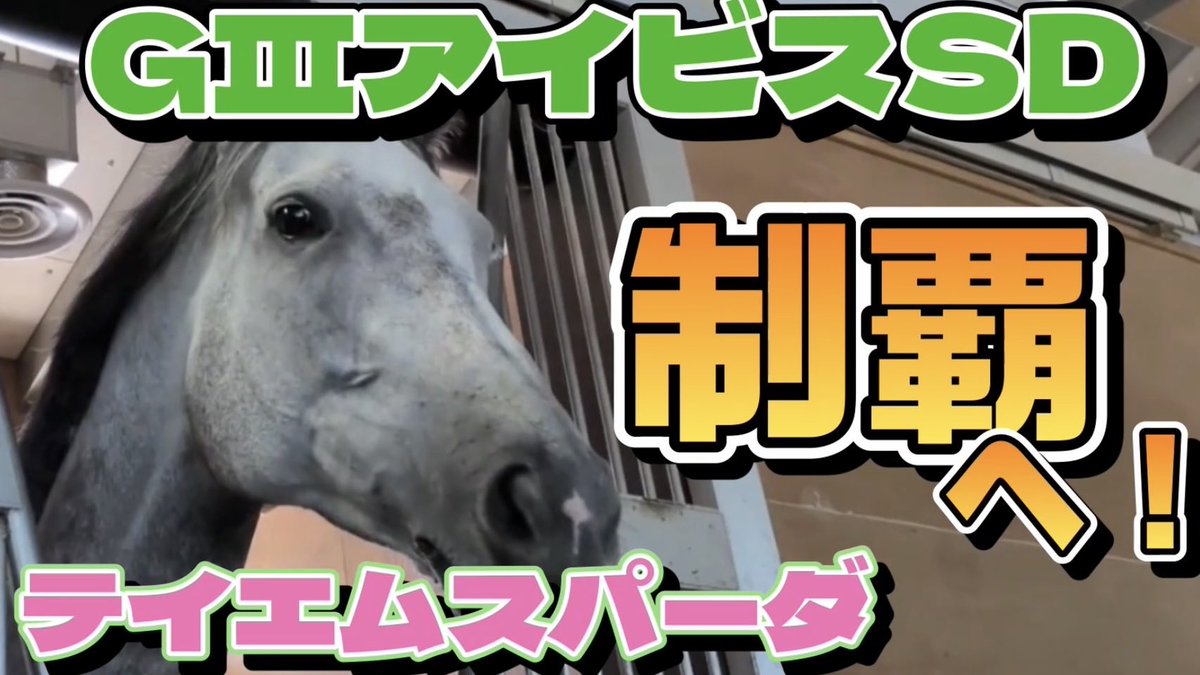 k_ogura_stable's tweet photo. こんばんは。
小椋研介厩舎【公式】YouTubeチャンネル、24本目の動画配信です。

スパちゃん、今年の大一番です❗️

【GⅢアイビスSD】#テイエムスパーダ いざ今年の大目標へ https://t.co/pYijMlARH0 @YouTubeより https://t.co/OC6nRG6wBz