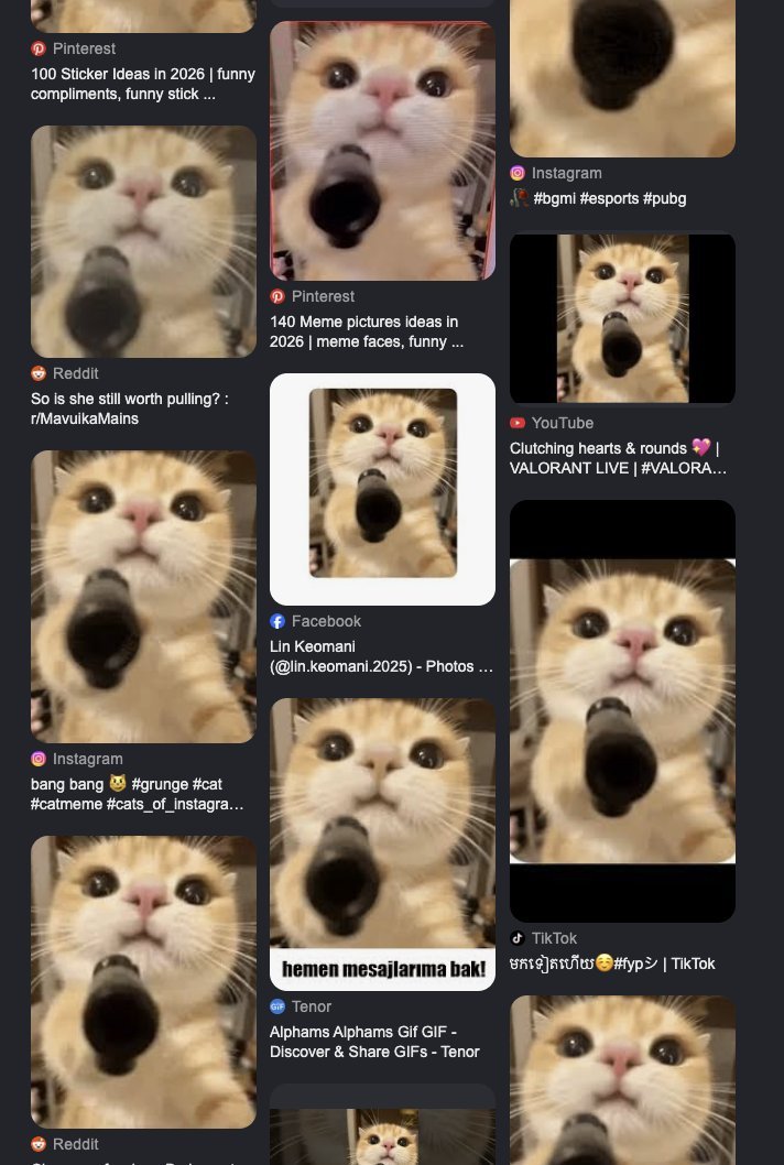 Zeeko__Dev's tweet photo. This meme of a cat holding a gun has become a HUGE meme going viral all over X, reddit, IG and more

So many users are posting gun cat memes in the comments after this post went viral this morning

We've had so many cat memes send recently but this has never been deployed

Send it