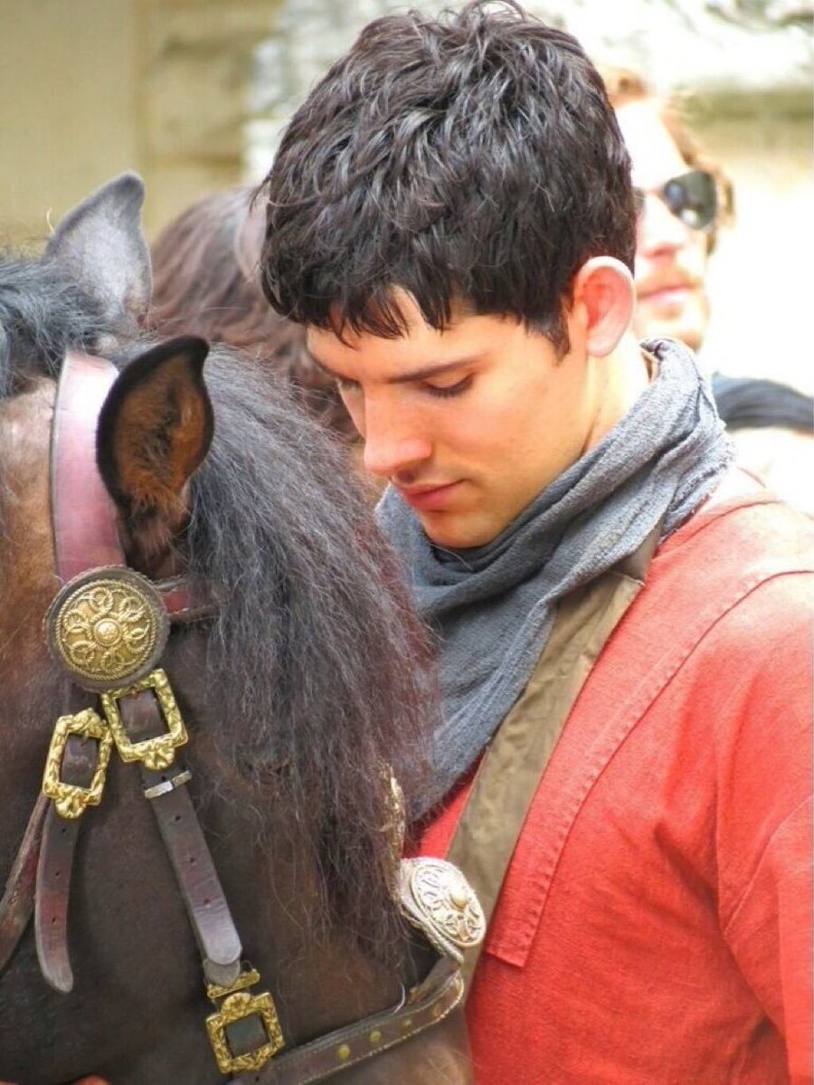 Merlins_Scarf's tweet photo. @CMagnumfan https://t.co/5DmgnsHjsy