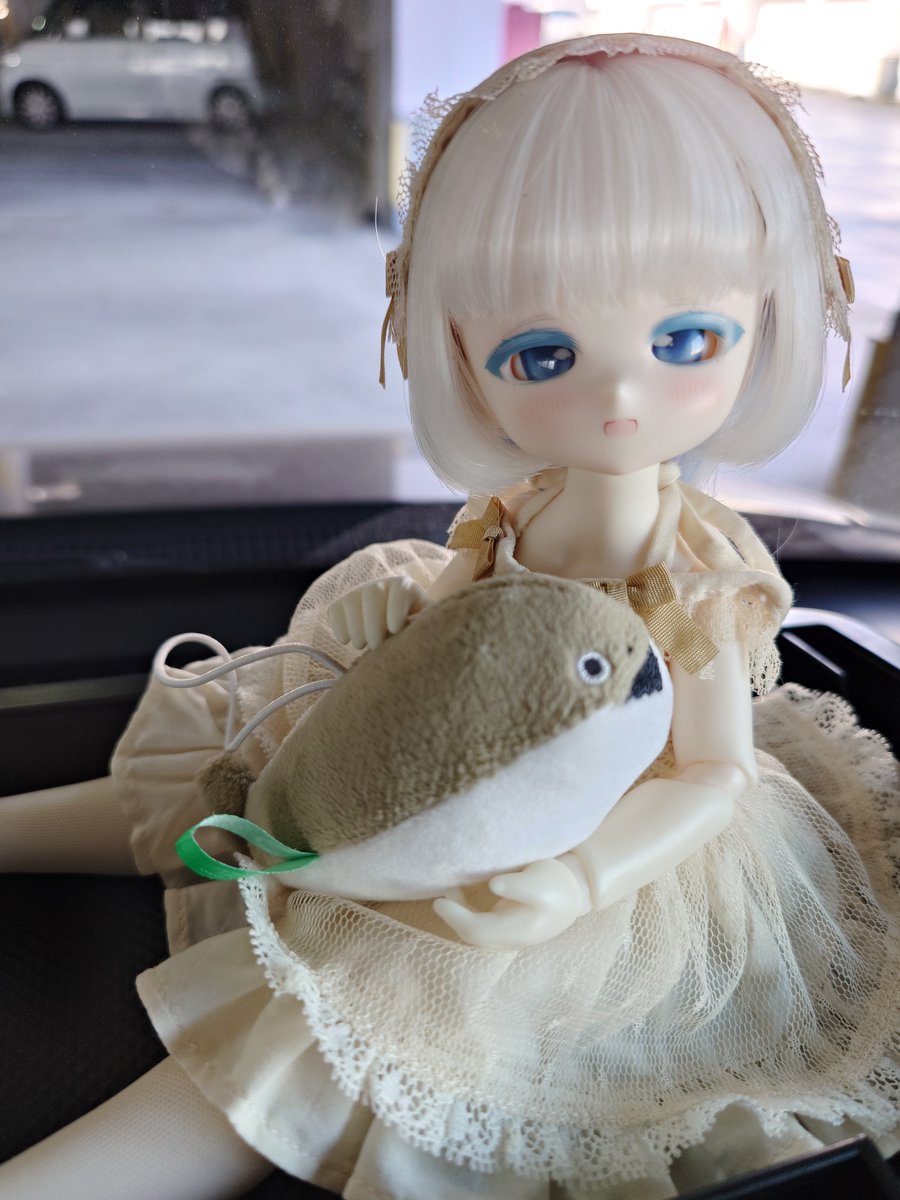 Mr98040872's tweet photo. 今日のお供は海月ちゃん🪼 https://t.co/pgkLX68t20