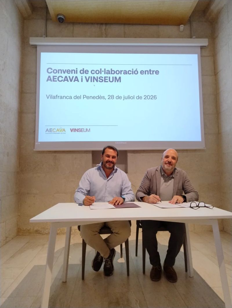 AECAVA tweet media