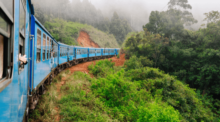 deepnaturetur's tweet photo. 🌴 Sri Lanka'nın büyüleyici atmosferini keşfetmeye hazır mısınız?

🦁 Pinnawala Fil Bakımevi
🏯 Sigiriya Aslan Kayası
🛕 Dambulla Tapınağı
🚂 Efsanevi Sri Lanka tren yolculuğu
🍃 Çay tarlaları

🇱🇰 THY ile
📅 2026 sonbahar tarihleri yayında

Detaylar👇
https://t.co/jRM0LmH0oO https://t.co/iUm3IOBOcY