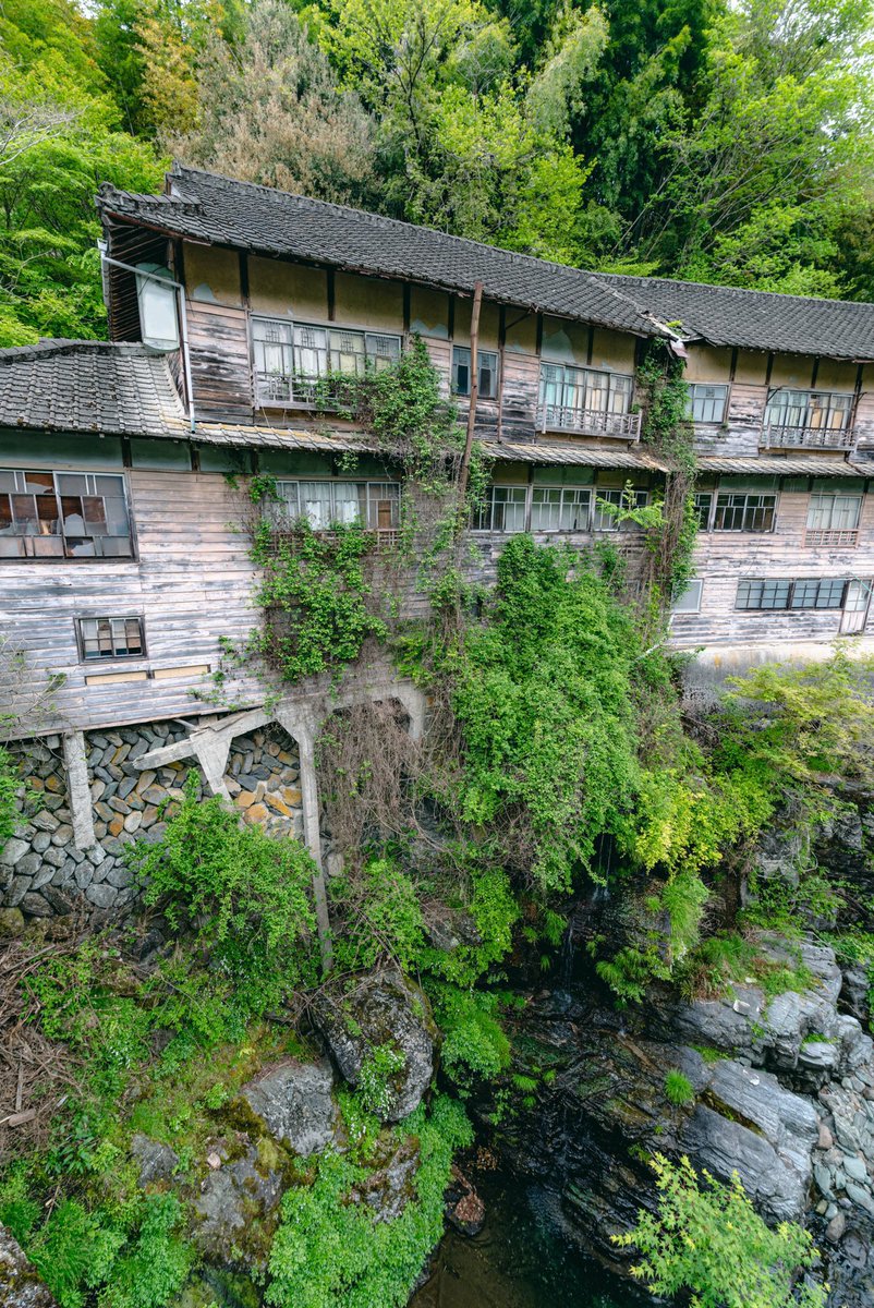 urbex_34's tweet photo. 川沿いに張り付くように建つ廃旅館。建物から漏れ出すように蔦が生えていました。 https://t.co/7d0JeiRUdX
