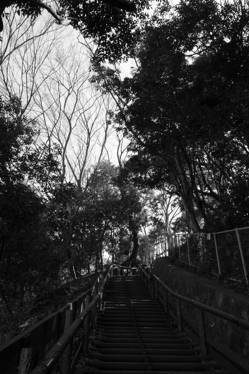 oldlens_jp's tweet photo. Ricoh GRⅣ Monochrome https://t.co/o3Ai7U9m0f