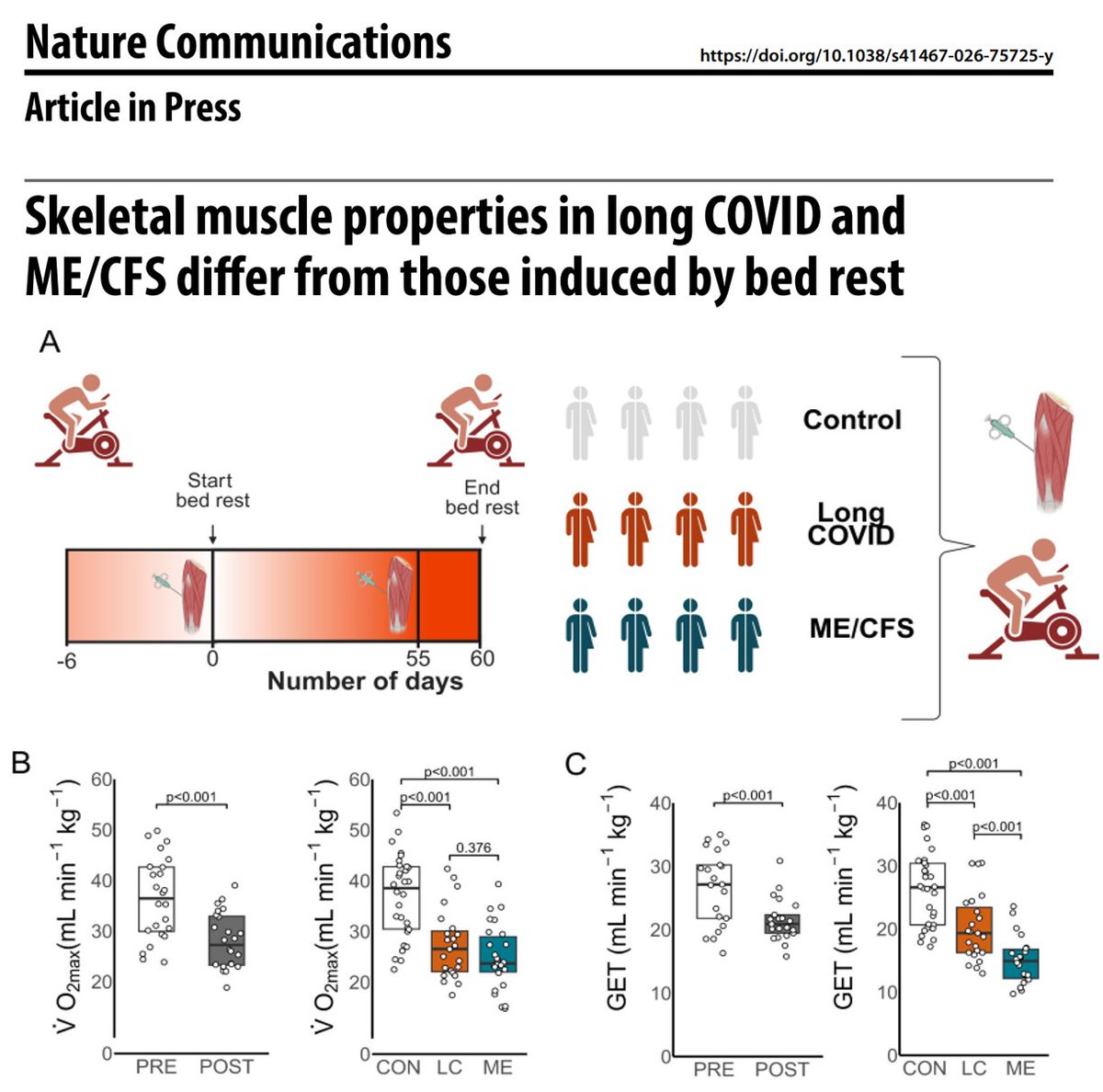 DaniBeckman's tweet photo. One more nail in the coffin of the "it's just deconditioning" hypothesis.

60 days of strict bed rest ≠ #LongCOVID or #MECFS.

@RobWust group shows that while exercise capacity may be similarly reduced, the underlying skeletal muscle biology is VERY different. 
More than time to move beyond outdated assumptions.

Join us at the inaugural @ISLCPAIS conference in Amsterdam next month, where Rob will be our host :)