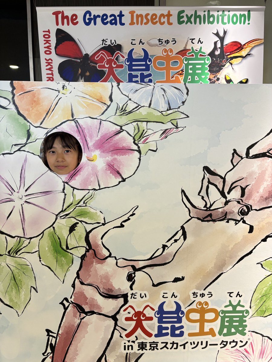 kenshusei_uf's tweet photo. みなさんこんにちは！！！！🙊
#ハロプロ研修生 の #坂田しおり です！🐵☀️
ConChu!さんがアンバサダーをしている、大昆虫展に遊びに行ってきました！！🏃‍♂️💨
私は生き物が大好きなので楽しみにしていました！！
小学4年生のときは、近所でカナヘビを捕まえて虫かごで飼っていて、5年生のときは、ダンゴムシをお庭でたくさん飼っていました！
手作りの虫標本も作った事があったので、とても勉強になりました！！👓📖

1番楽しかったのはふれあいの森でカブトムシに触った事です✌️！触り方も丁寧に教えてもらえました！ConChu!さんの推し昆虫を探すのもとても楽しかったです！！！🔍

そして、大昆虫展オリジナルテーマソングConChu!さんの「ニンミンフレンズ」、かわいくて楽しくて大好きな曲になりました！

大昆虫展、今度はみんなを誘って夏休み中にまた行けたらいいなーと思っています🙊

！お知らせです！
——————————————————————-
ハロ！コン 2026
出演：モーニング娘。'26 さん/ アンジュルムさん / Juice=Juiceさん / つばきファクトリーさん / BEYOOOOONDSさん / OCHA NORMAさん / ロージークロニクル さん/ ハロプロ研修生
東京公演：TOYOTA ARENA TOKYO
8/8（土）、8/9（日）

#大昆虫展
#ConChu! さん
#杉原明紗 さん
#長野桃羽 さん
#西村乙輝 さん
#相馬優芽 さん
#ハロプロ 
#Helloproject
