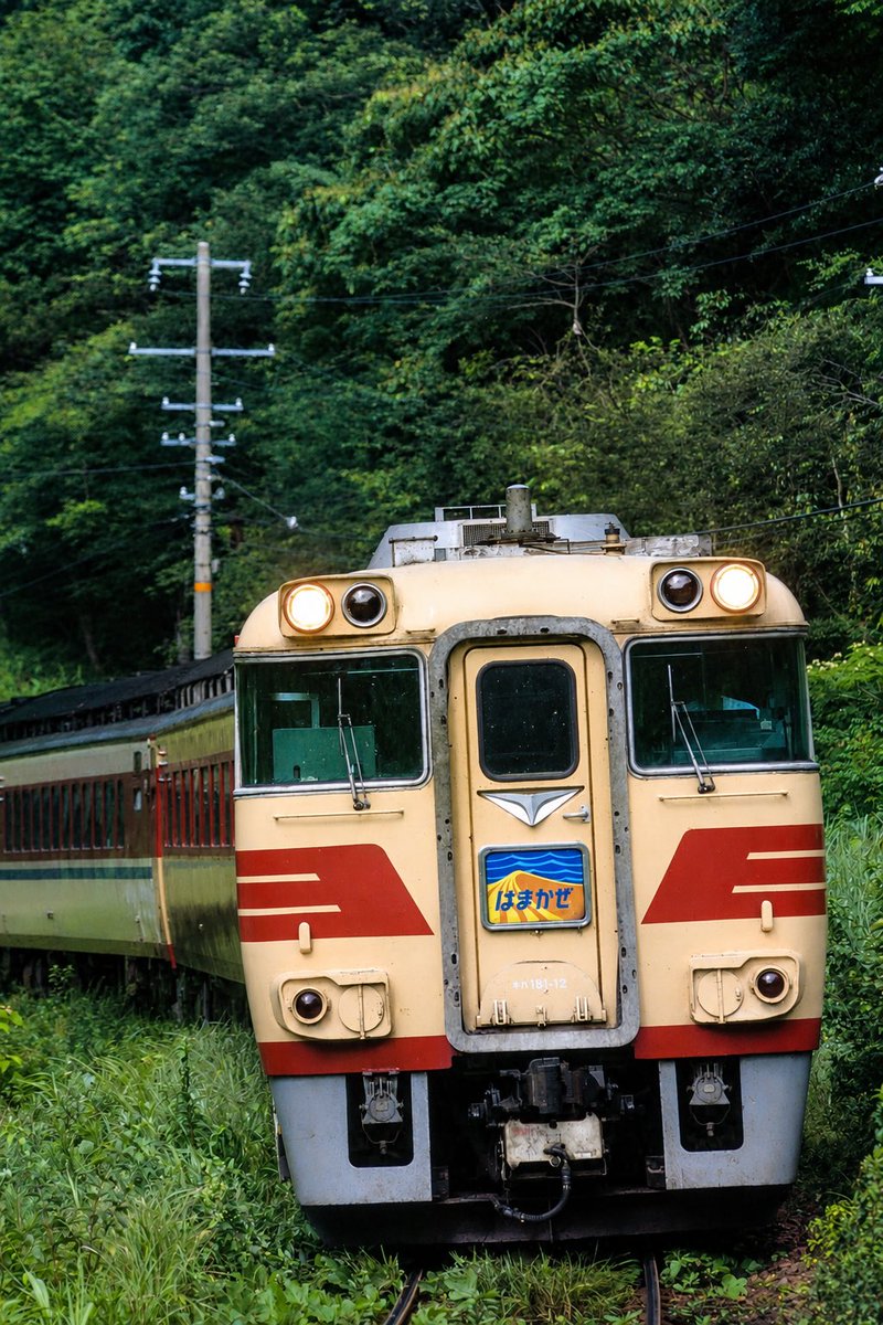 imomonta's tweet photo. 【#俺の撮り鉄史 その75】
2004年頃、山陰本線柴山にて撮影したキハ181特急はまかぜ。
この頃、いなばのキハ187化で転属した国鉄色の車両がはまかぜの運用に入っていた。
A Iにて適正露出へ修正している。

#フィルムカメラ #山陰本線 #キハ181 https://t.co/m32hpnJiFf
