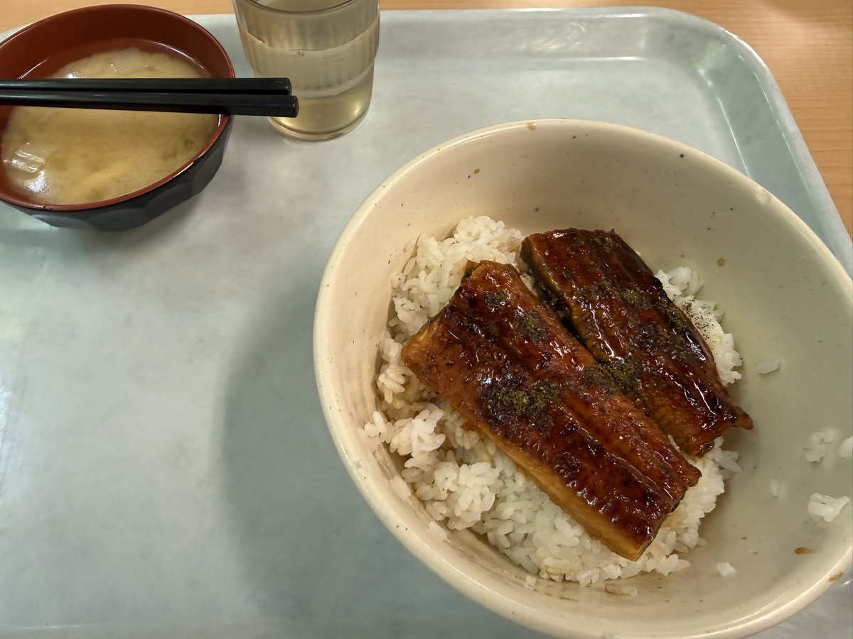 hel_kun_sub's tweet photo. 実は嘘です
今日が本当の西食納めでした https://t.co/i3QdjmlPeK