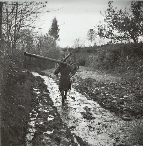GuerraenlaUni's tweet photo. Hay gente que mete en el mismo saco a un empresario agrícola que maneja subvenciones europeas, tecnología avanzada y cientos de hectáreas de monocutivo y a una campesina que practicaba agricultura de subsistencia hace 60 años. Porque todos son "gente del campo". Tremendo error. https://t.co/m6AEhBKSkw