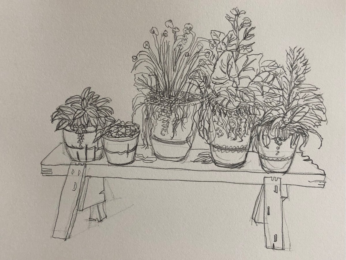 FWhite90995's tweet photo. Want to try a new hobby this weekend Grab a sketchbook and some pencils—drawing is a low-pressure way to relax and record small joys. Start with what’s around you, no skills needed! https://t.co/FITu870Wdd