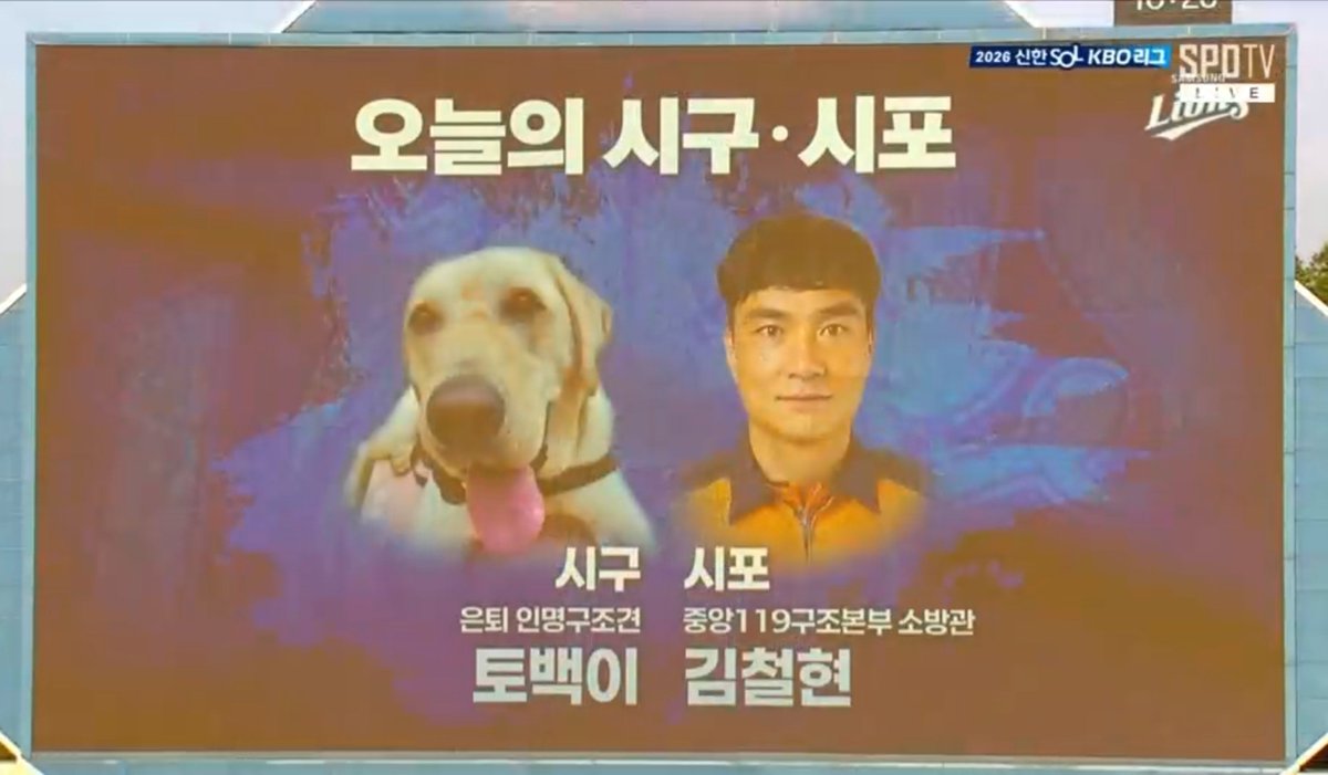 simba__18's tweet photo. 토백이 귀여워
토백아 행복해
토백아 건강해 https://t.co/jdT0igqSIm