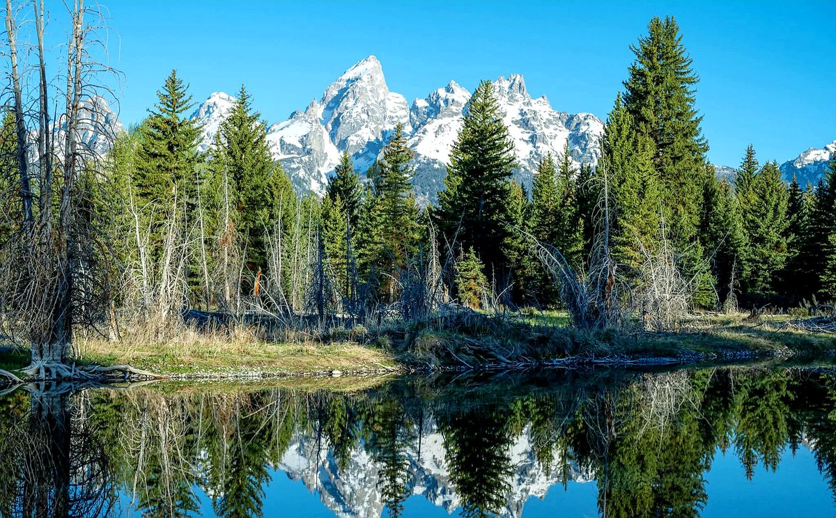 russcar10now's tweet photo. Good morning from Wyoming https://t.co/MvIiMFpPlr