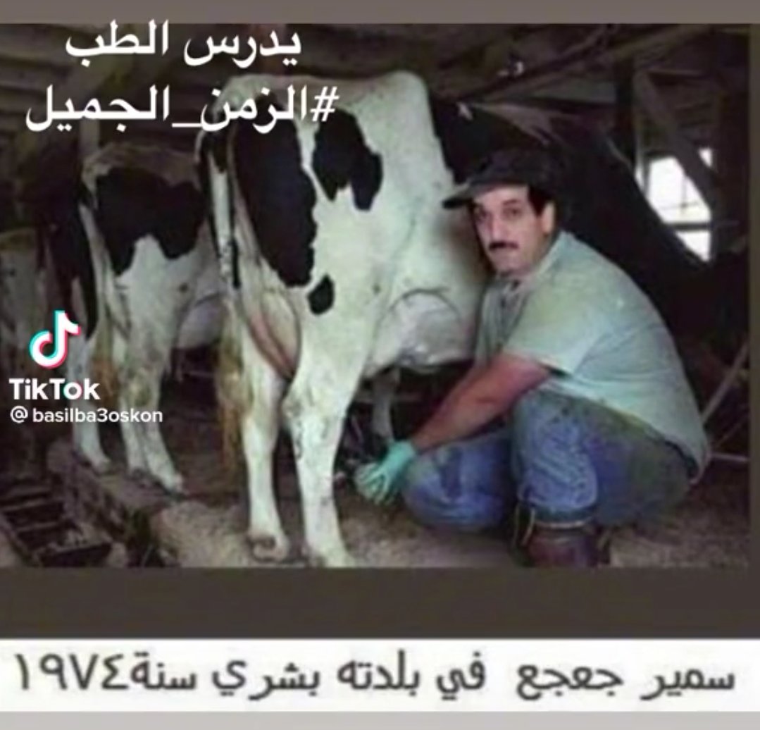 Michel Sakr tweet media