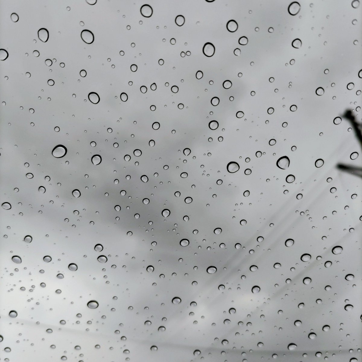 Kemu_max's tweet photo. ヤバヤバ💦、雨がポツポツ降ってきた！
空用カメラは出しっぱなしだし、朝に干していた植替用のプランターや土もダメかなぁ🥺 https://t.co/qL7w13VnnF